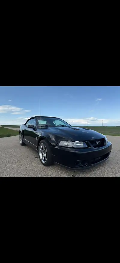 ** if ad is up it’s available** ***49K FIRM will only hold with deposit *** 2004 Mustang SVT Cobra T...