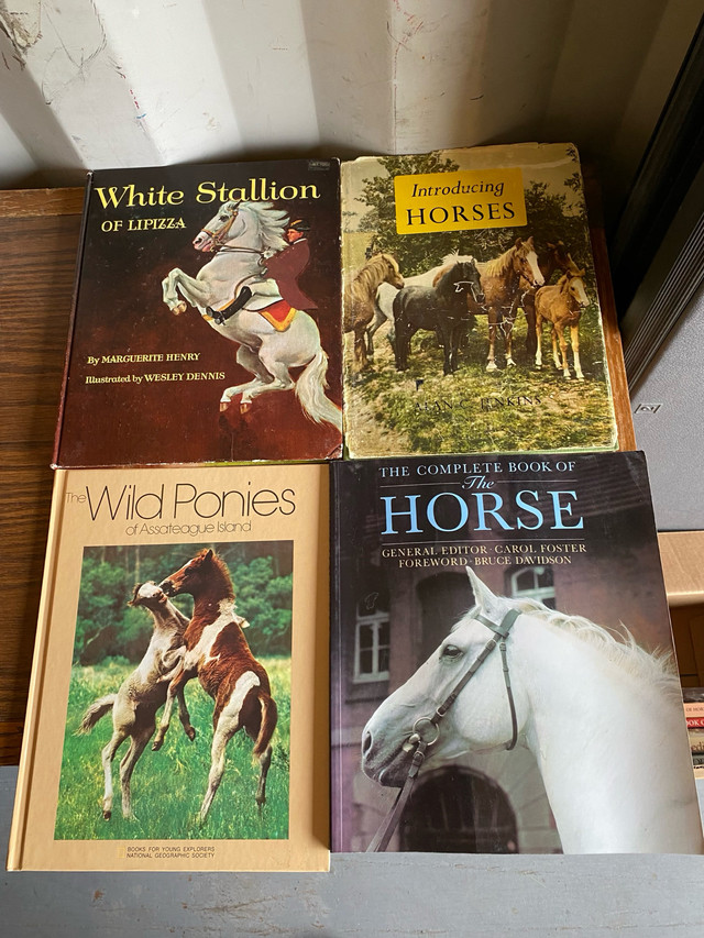 Horse books for sale in Children & Young Adult in Penticton - Image 3