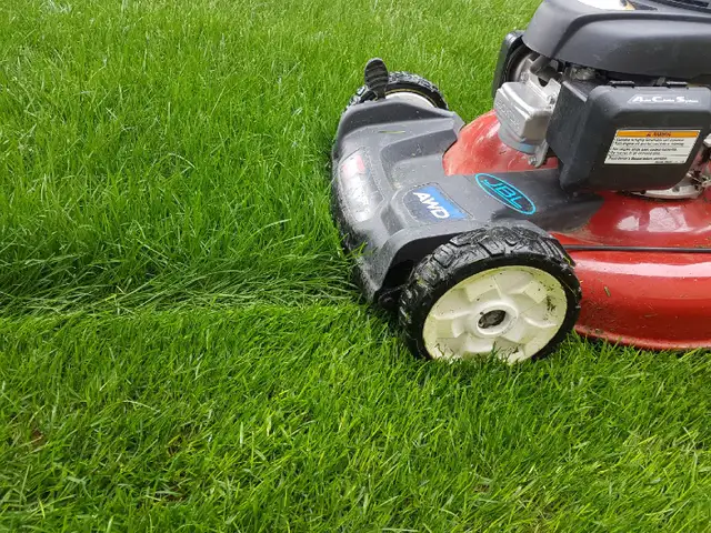 Lawn Service - Weed Control - Tree Trimming - 529-5554 in Lawn, Tree Maintenance & Eavestrough in Medicine Hat - Image 2