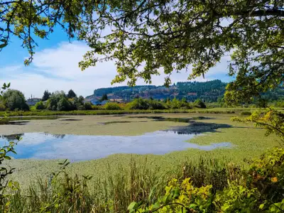 2BR Suite Near Buttertubs Marsh, pet friendly – Available July 1