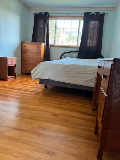 One room for rent in Marda Loop SW ( female )