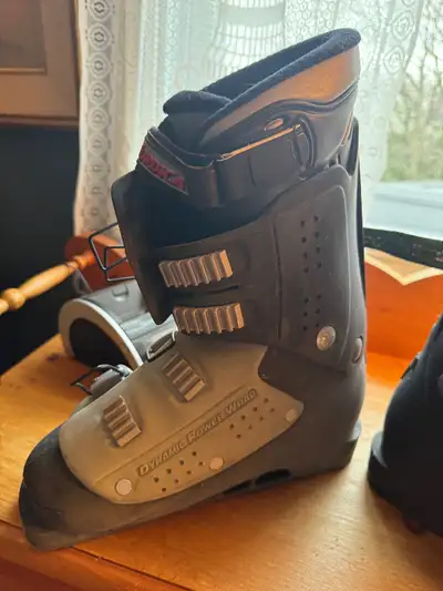 Bottes de ski Nordica pour hommes, View more