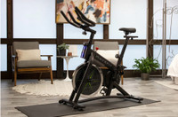 Swell Series B100 Indoor exercise bikes