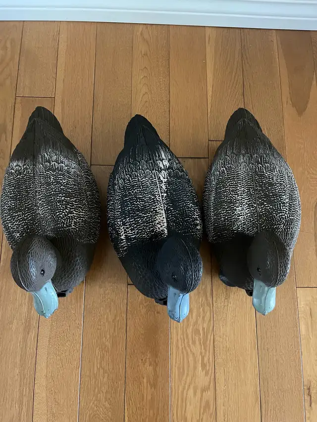 Set of 3 plastic duck decoys with weights in Fishing, Camping & Outdoors in Barrie - Image 4