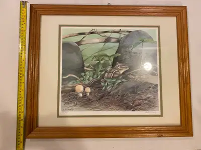 Framed lithograph, View more