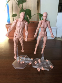 Drawing Figures for Figure Model Male+Female Set