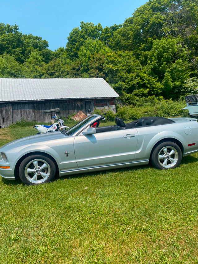Ford Mustang convertible in Cars & Trucks in Barrie - Image 4