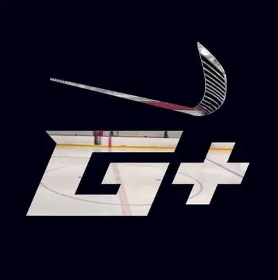 Recherches equipes pour rejoindre league de hockey Niveau D ages moyenne 35-45ans Saison printemps/é...