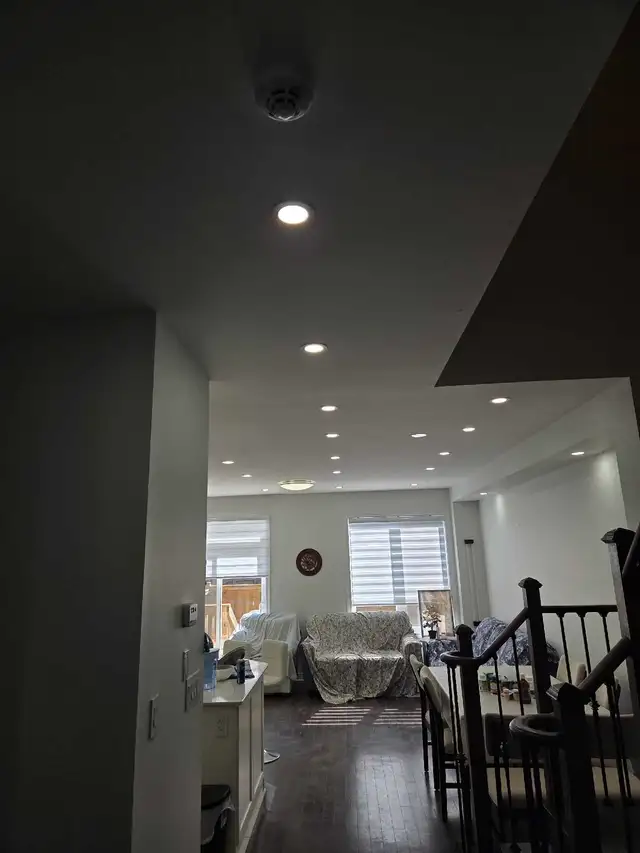 Licensed Electrician560187888842188805