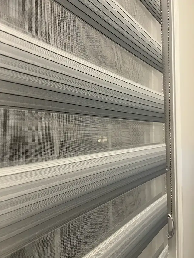 Zebra Blinds Roller Shades Curtain64639724127619122