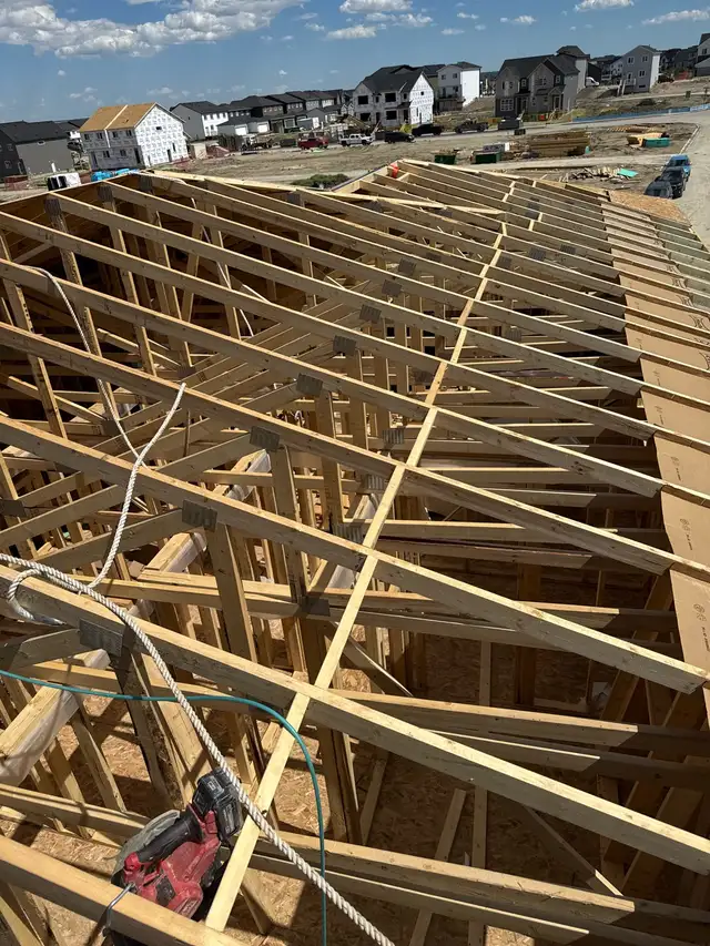 Carpenter ready for your needs533461930303170561