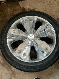 Mustang tires and rims