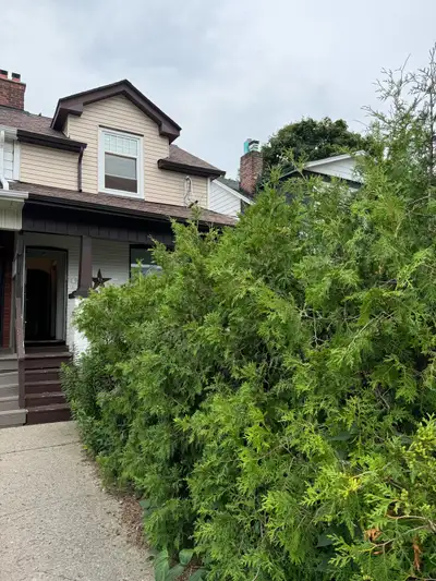 This cozy, approximately 600 sqft 1-bedroom basement apartment is conveniently located just 7 min fr...