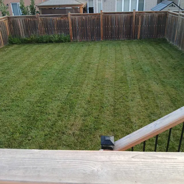 ZACH’S LAWN CARE AND PROPERTY MAINTENANCE62863238996482121