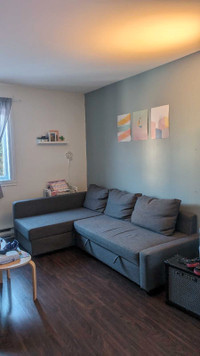 Sofa en L / Divan Lit IKEA FRIHETEN gris