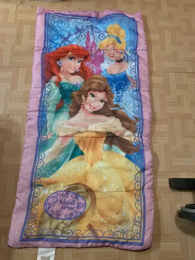 Princess Sleeping Bag Single/Twin - $20, View more