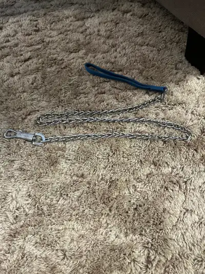 Heavy duty metal dog leash, View more