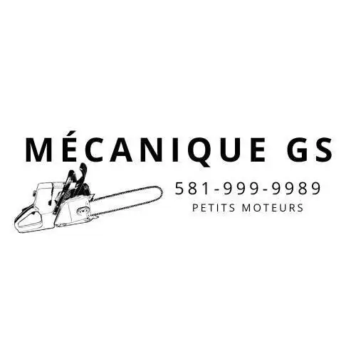 Mécanique scie, tondeuse, tracteur, fendeuse etc in Lawnmowers & Leaf Blowers in Québec City - Image 2