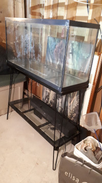 AQUARIUM / VIVARIUM (±33gal.) +++ ÉQUIPEMENT