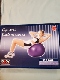 Body Sculpture 65 cm 26 inch Gym Ball 