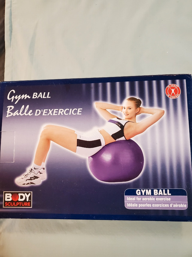 Body Sculpture 65 cm 26 inch Gym Ball  in Exercise Equipment in Kawartha Lakes