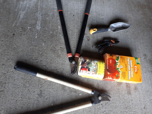 Gardening in Plants, Fertilizer & Soil in Gatineau - Image 3