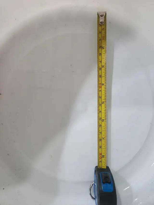 Gold fish in Fish for Rehoming in Mississauga / Peel Region - Image 7