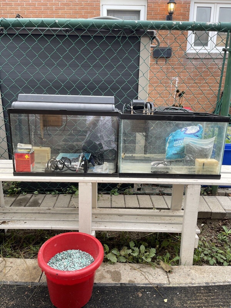 Aquarium fish tank 10 gallon Accessories Kitchener / Waterloo Kijiji