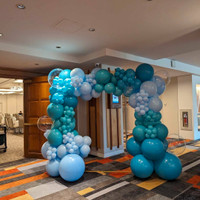 Professional Balloon Arches