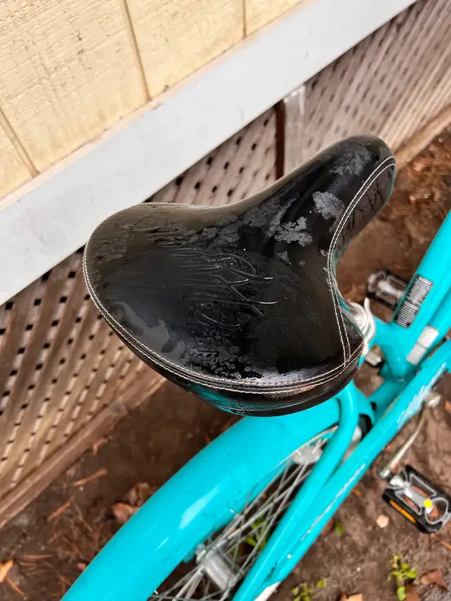 Woman’s Bike in Road in Oakville / Halton Region - Image 4