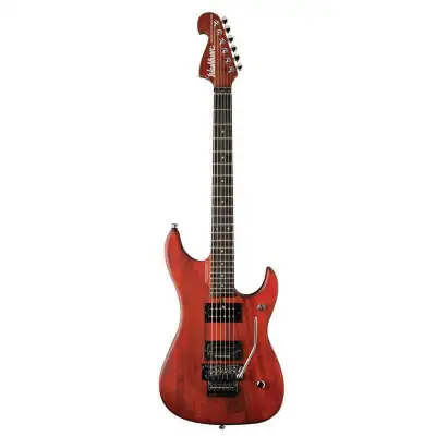 Wanted: Washburn N2, N24, or N3 Guitar, View more