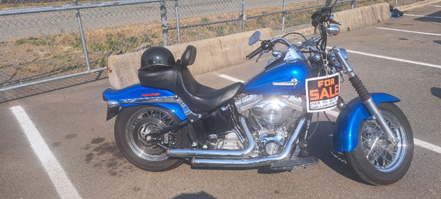 2004harley softail 1450ccs 36kms 604-724-7367  $8000 in Street, Cruisers & Choppers in Hope / Kent - Image 4