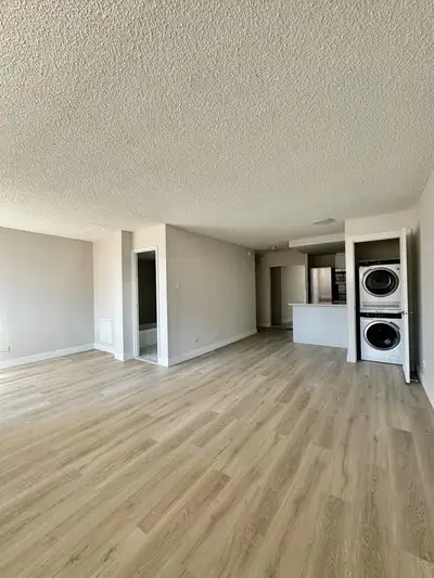 1 Bed 1 Bath Apartment