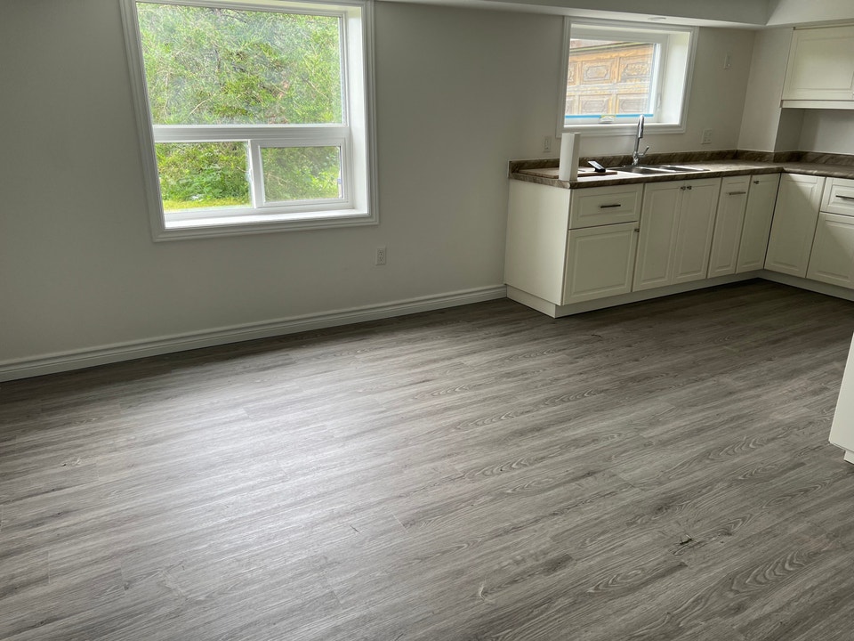 Newly Renovated Walk In Basment Apartment - Country Setting 3