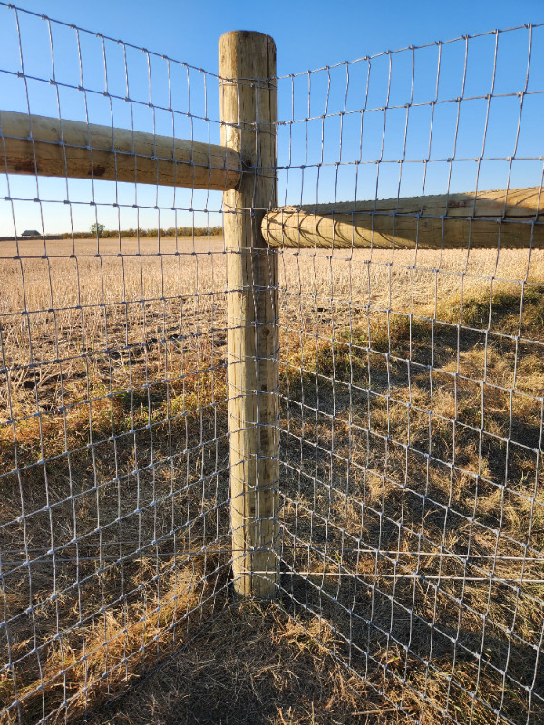 Custom Farm Fence in Other in Prince Albert - Image 4