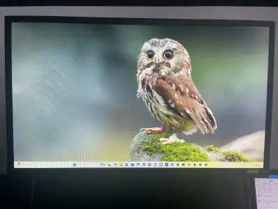 ASUS ROG Strix XG248Q 23.8” Full HD 1080p 240Hz 1ms Monitor, View more