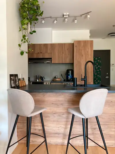 Appartement a louer, Rosemont, meublé, option stationnement
