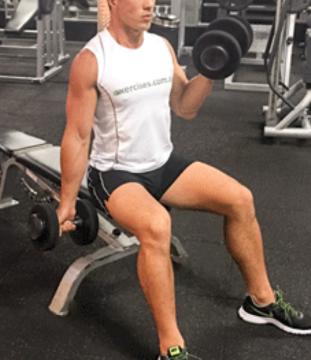 1-on-1 Private Gym Personal Trainer $50/Session Downtown Toronto64739289566339120