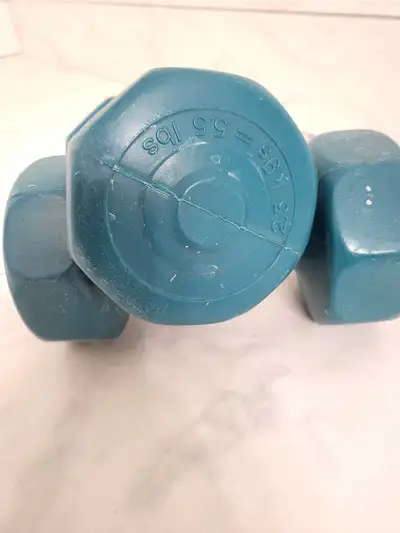 5.5 lb (2.5 kg) pair of weights, View more