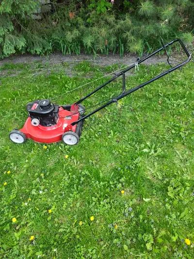 2 Tondeuses à gazon à essence 20". 75$ la paire, View more