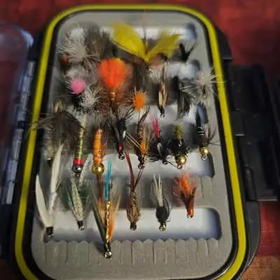 Fly Fishing Flies, pack of 30 including Waterproof Case