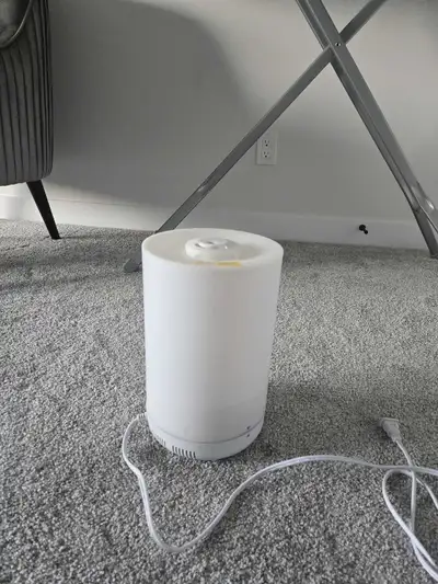 S.Mishaan & Sons Top Fill Colour Changing Humidifier, View more