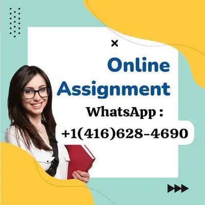 Essay Writing & Assignment Help | University Level Exams | ILC, View more