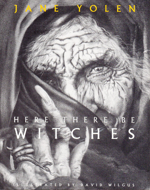 HERE THERE BE WITCHES  by Jane Yolen  &  Art by David Wilgus in Children & Young Adult in Ottawa