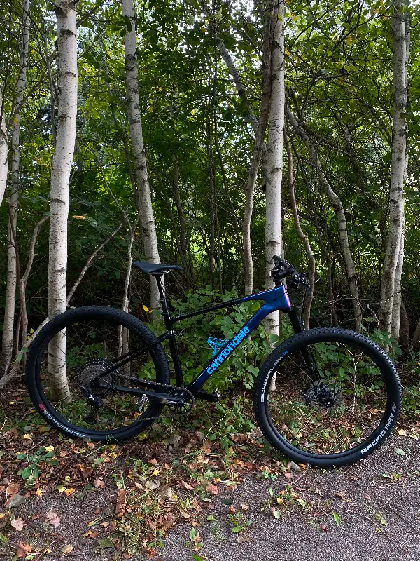 Cannondale Scalpel HT 2 in Mountain in Moncton - Image 2