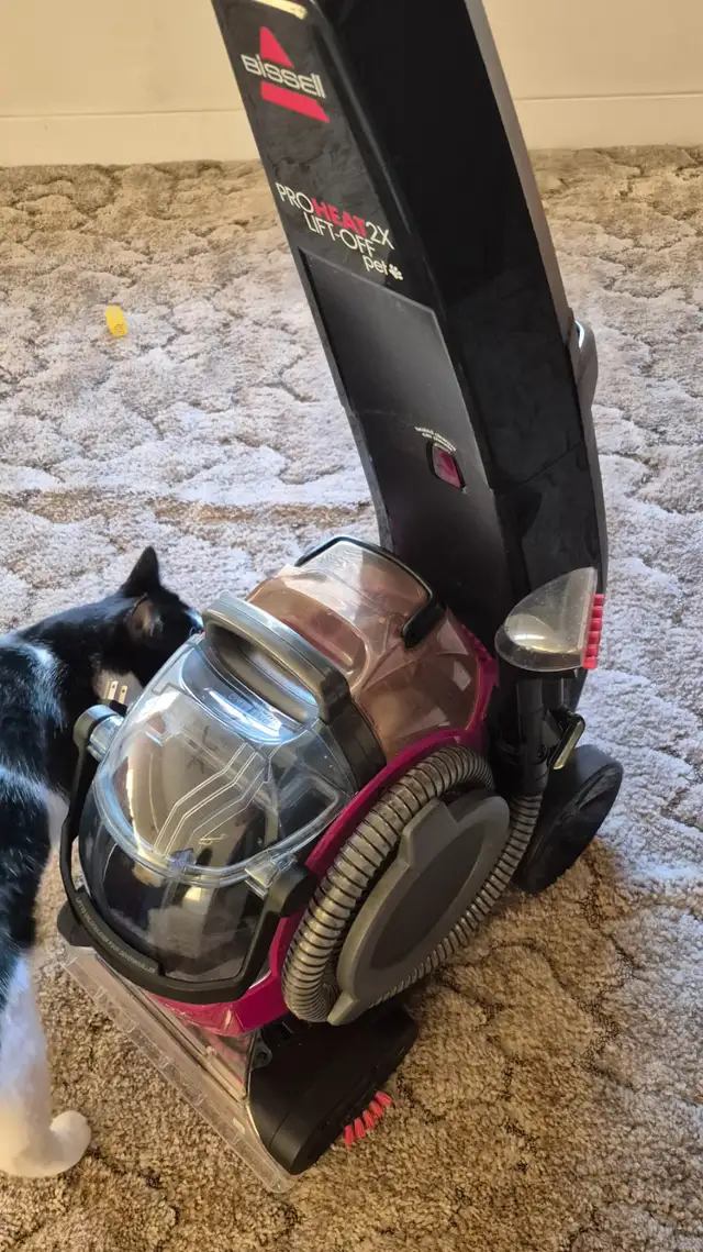 Pet steam cleaner64141835880450122