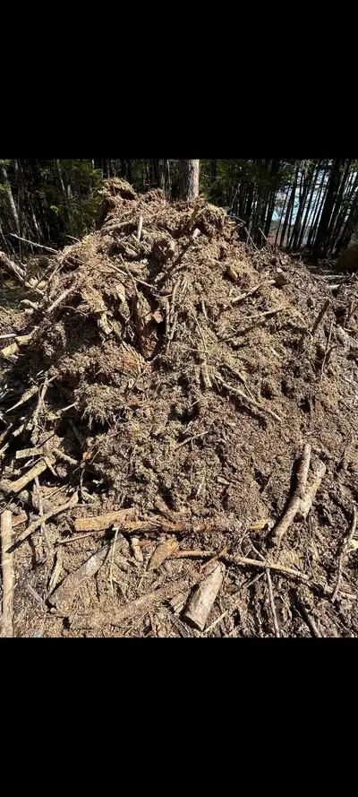 natural mulch, View more