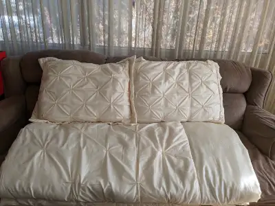 $20 Queen size satin comforter and pillows