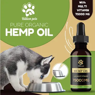 Hemp Oil for Dogs and Cats, View more