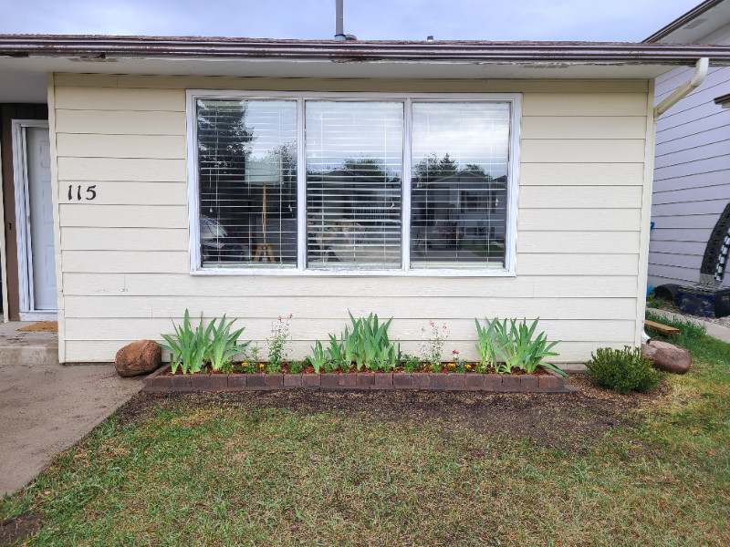 800 Studio basement suite for rent Westside close to Uni Long Term